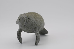 COLLECTA SŁOŃ MORSKI 3