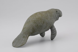 COLLECTA SŁOŃ MORSKI 5