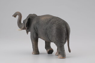 COLLECTA SŁOŃ AZJATYCKI 5