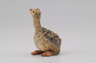 COLLECTA STRUŚ MŁODY SIEDZĄCY 4