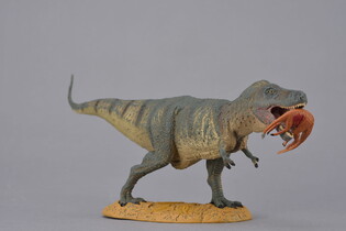 COLLECTA DINOZAUR TYRANOZAUR REX Z OFIARĄ 5
