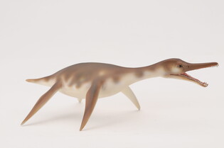COLLECTA DINOZAUR DOLICHORHYNCHOPS 5