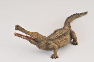 COLLECTA SARCOZUCH 3