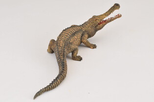 COLLECTA SARCOZUCH 4