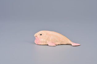 COLLECTA PSYCHOROLUTES MARCIDUS (BLOBFISH)
 7