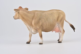 COLLECTA KROWA 6