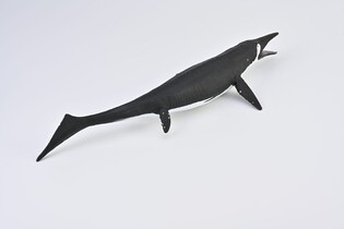 COLLECTA SZASTAZAUR 4