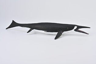 COLLECTA SZASTAZAUR 6