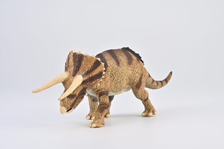 COLLECTA TRICERATOPS HORRIDUS W STARCIU 3