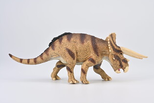COLLECTA TRICERATOPS HORRIDUS W STARCIU 5