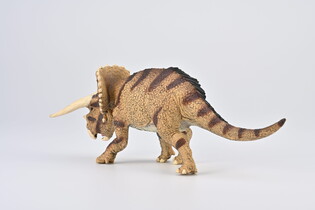 COLLECTA TRICERATOPS HORRIDUS W STARCIU 6