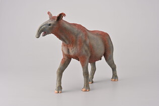 COLLECTA PARACERATHERIUM 3