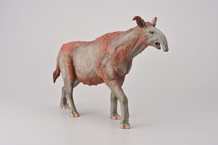 COLLECTA PARACERATHERIUM 4