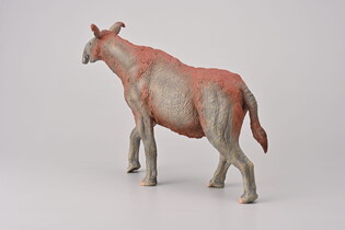 COLLECTA PARACERATHERIUM 6