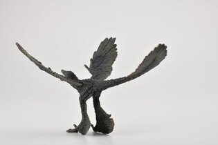 COLLECTA DINOZAUR MICRORAPTOR 3