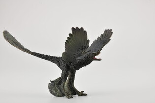 COLLECTA DINOZAUR MICRORAPTOR 4