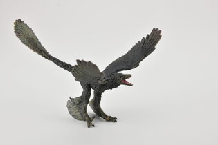 COLLECTA DINOZAUR MICRORAPTOR 5