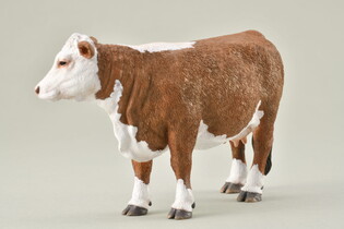COLLECTA KROWA HEREFORD 3