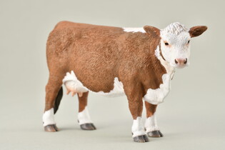 COLLECTA KROWA HEREFORD 5