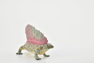 COLLECTA EDAFOZAUR 3