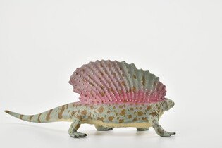 COLLECTA EDAFOZAUR 4
