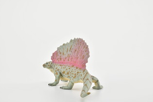 COLLECTA EDAFOZAUR 5