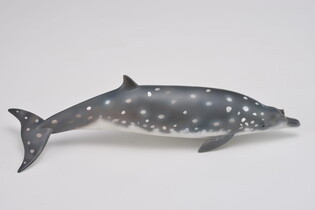 COLLECTA DZIOBOWAL ZWARTOPYSKI 5