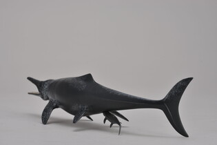 COLLECTA DINOZAUR TEMNODONTOZAUR 4