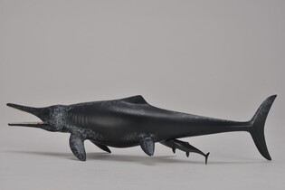 COLLECTA DINOZAUR TEMNODONTOZAUR 5