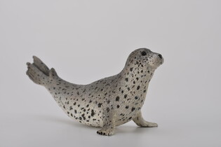 COLLECTA FOKA PSTRA 5