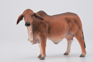 COLLECTA KROWA CZERWONA BRAHMAN 4