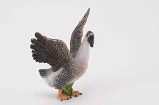 COLLECTA GĄSIOR 3
