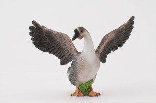 COLLECTA GĄSIOR 4
