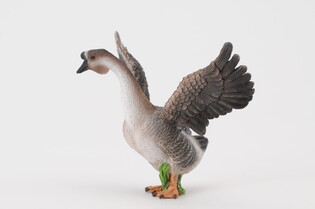 COLLECTA GĄSIOR 5