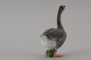 COLLECTA GĘŚ 4