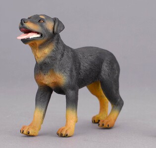COLLECTA PIES RASY ROTTWEILER 3