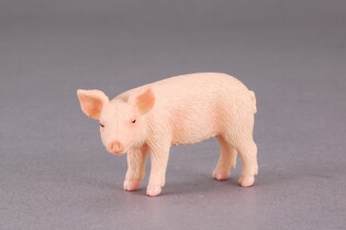 COLLECTA PROSIĘ STOJĄCE 3