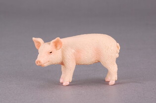 COLLECTA PROSIĘ STOJĄCE 4