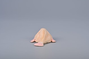COLLECTA SOWA PŁOMYKÓWKA 7