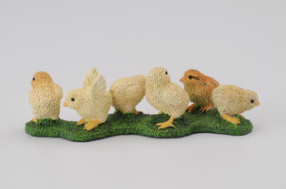 COLLECTA KURCZAKI 5