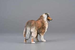COLLECTA OWCZAREK SZKOCKI DŁUGOWŁOSY 3