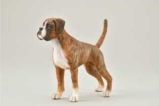 COLLECTA PIES BOXER 3