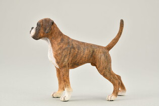 COLLECTA PIES BOXER 4