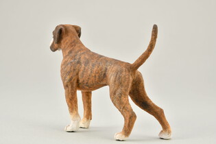 COLLECTA PIES BOXER 5