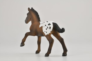 COLLECTA ŹREBIĘ SUGARBUSH DRAFT 5