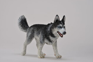 COLLECTA SYBERYJSKI HUSKY 4