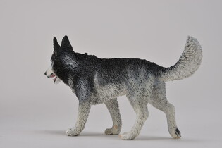 COLLECTA SYBERYJSKI HUSKY 5