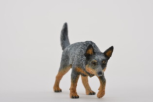 COLLECTA PIES AUSTRALIAN CATTLE 5