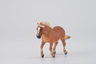 COLLECTA ŹREBIĘ SHETLAND MAŚCI KASZTANOWATEJ 3