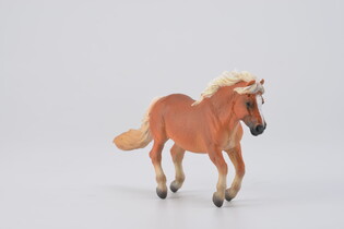 COLLECTA ŹREBIĘ SHETLAND MAŚCI KASZTANOWATEJ 4